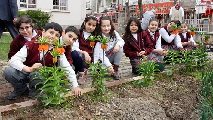 Okul bahçesinde 'ters lale' yetiştirdiler