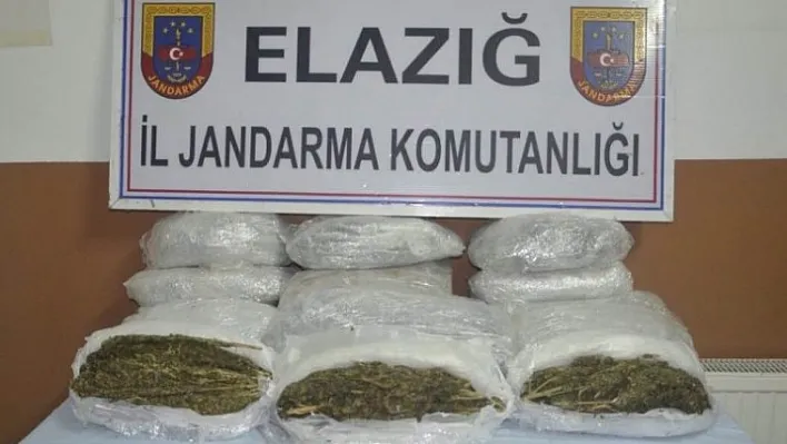 Gizli bölmeden 33 kilogram esrar çıktı