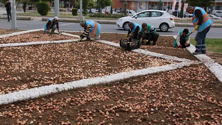 Elazığ, baharda çiçeklerle rengarenk olacak