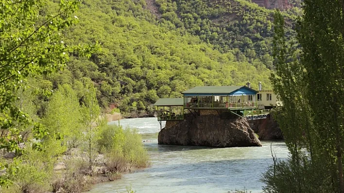 Bu restoran, herkesin dikkatini çekiyor!