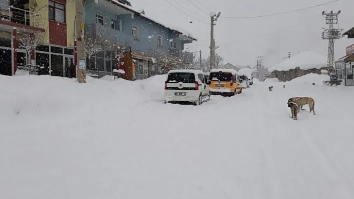 Bingöl'de kar yağışı hayatı felç etti