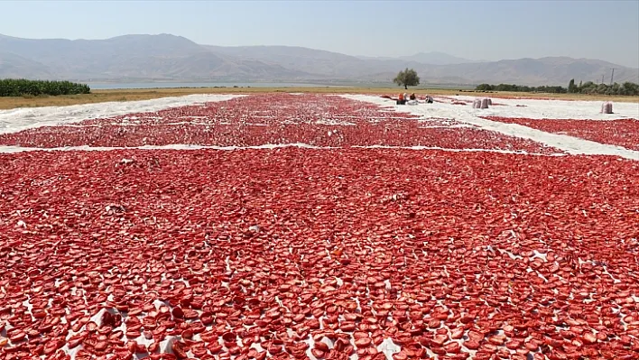 Elazığ'ın kurutulmuş domatesi Avrupa mutfağında