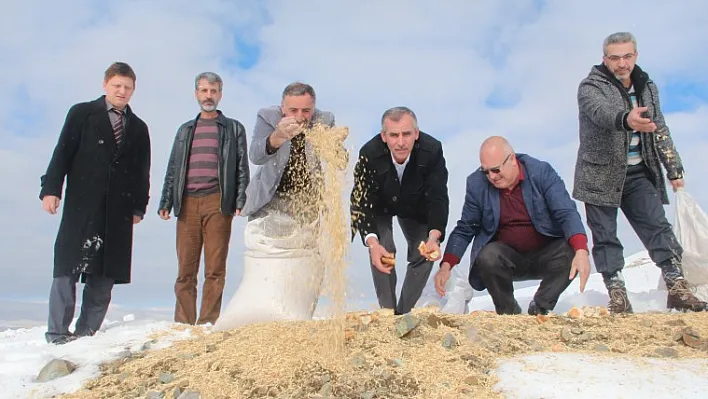 Avcılar doğaya yem bıraktı