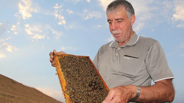 Keven balında üretim yüzde 70 düştü