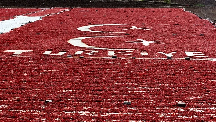 Türkiye ve bayrak sevgisini tarlasına işledi