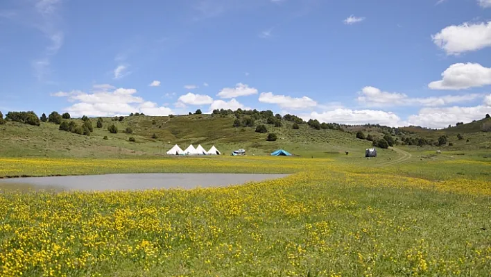 Tunceli'de yayla hayatı başladı