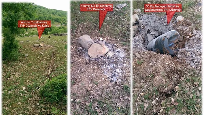 Eğitimli köpekler buldu, güvenlik güçleri imha etti