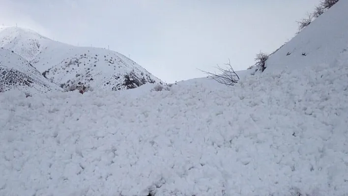 Elazığ'da çığ düştü: 3 ölü