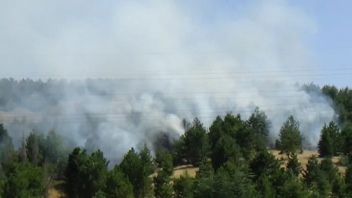 Elazığ'da orman yangını