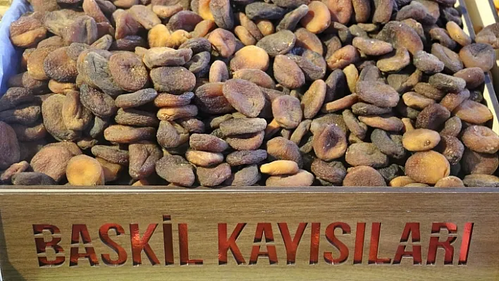 'Baskil kayısısı' marka yolunda