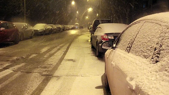 Erzurum'a Nisan karı