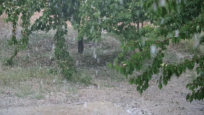 Baskil'de dolu yağışı