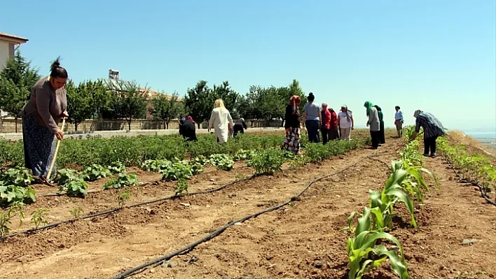 Kriz dönemlerini 'hobi bahçesi' ile atlatıyorlar