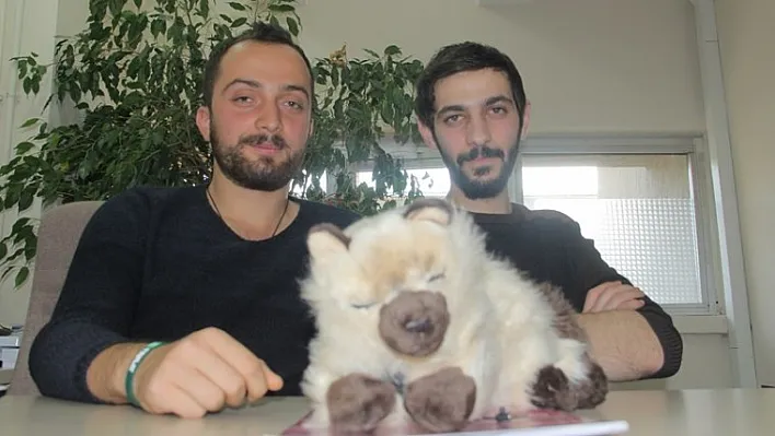 Bu kedinin yaptıklarına inanamayacaksınız