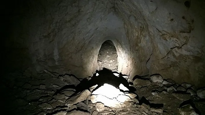 Diyarbakır'da teröre darbe