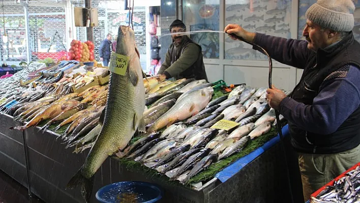 Bu balık Elazığ'da yakalandı