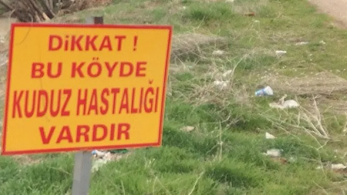 Elazığlılar dikkat! Bu köyde kuduz hastalığı var