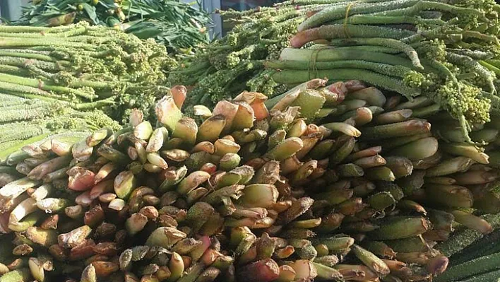 Işkın fiyatları cep yakıyor