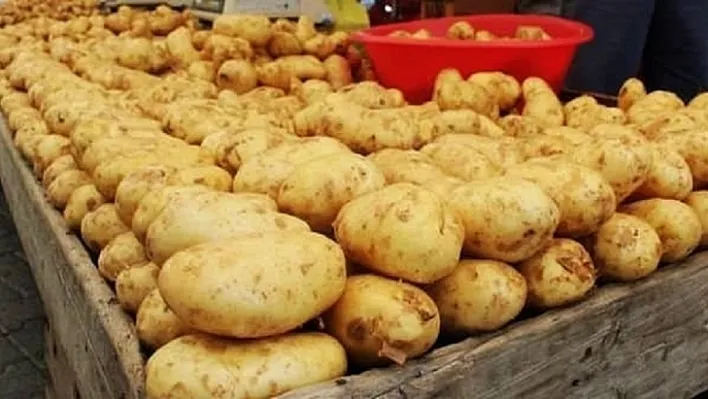 Patates fiyatına 'yazlık hasat' freni