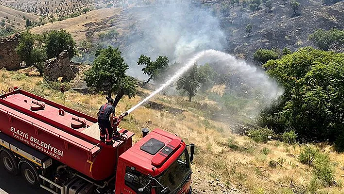 Harput'ta yangın!