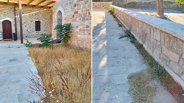 Harput'un camileri bakım bekliyor