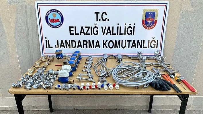 Hırsızlar suçüstü yakalandı