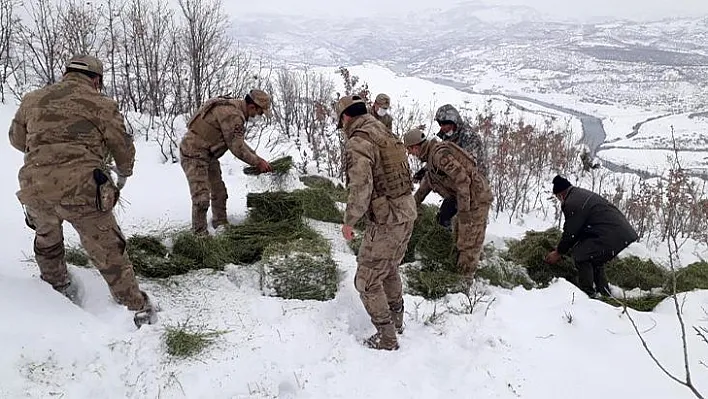 Jandarma ekipleri sokak ve yaban hayvanlarını unutmadı