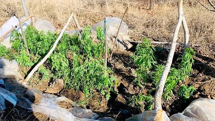Jandarma zehir tacirlerine nefes aldırmıyor