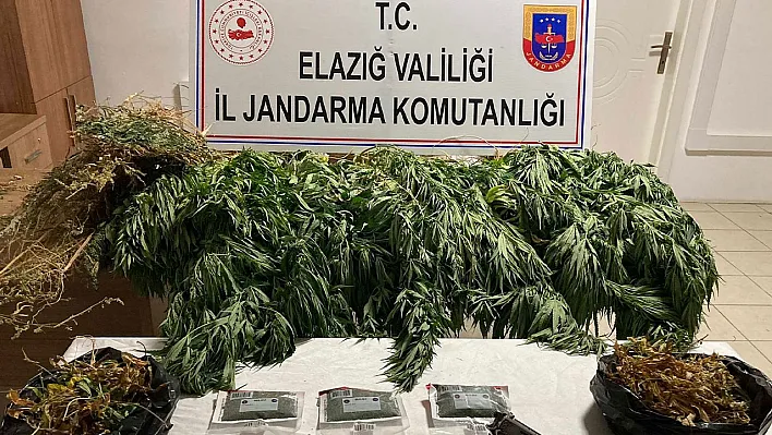 Jandarmadan uyuşturucu operasyonu