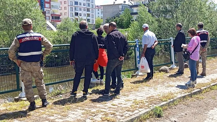 Karakoçan'da balık ölümleri inceleniyor