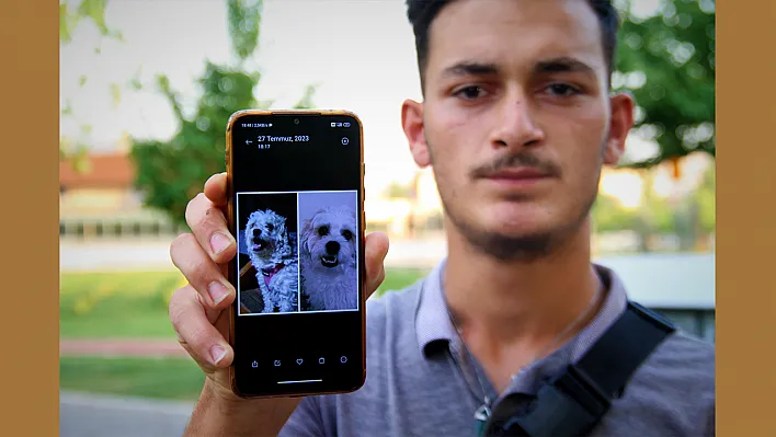 Kaybolan köpeği 'Maya'ı arıyor