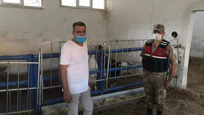 Kayıp hayvanları jandarma 12 kilometre uzaklıkta buldu