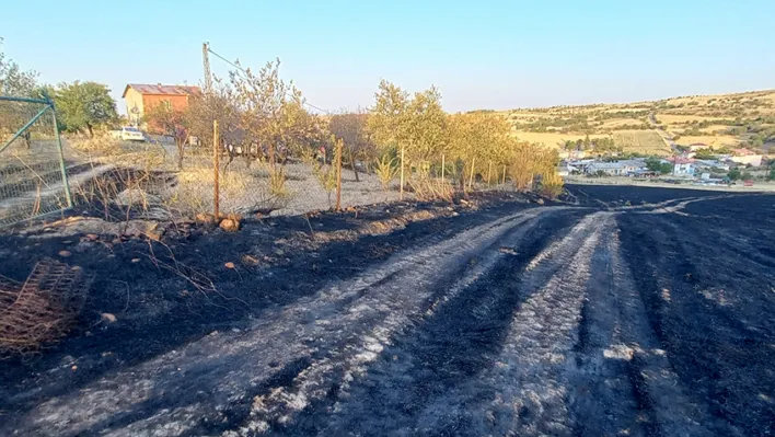 Keban'da arazi yangını