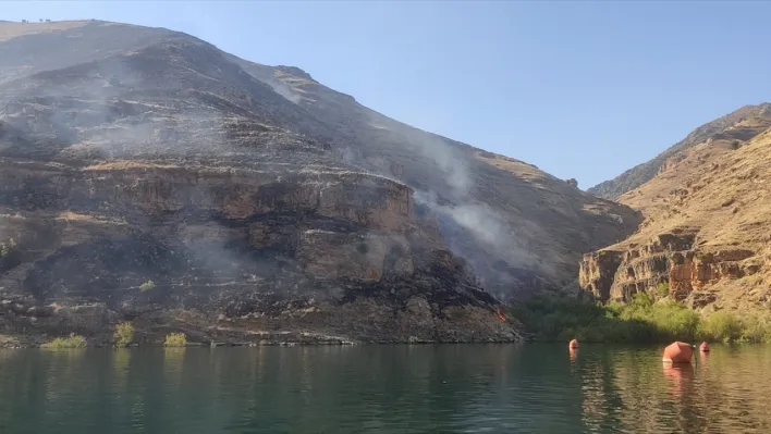 Keban'da çıkan yangın kontrol altında