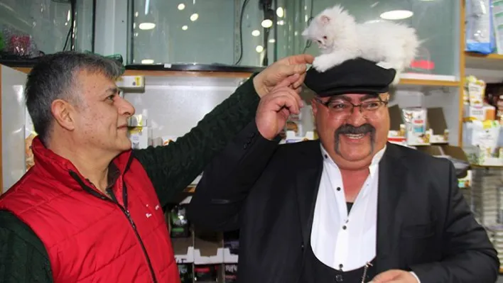 Kediyi görmek için her gün pet shop'a gidiyor