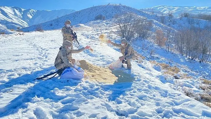 Komandolar, doğaya yem bıraktı