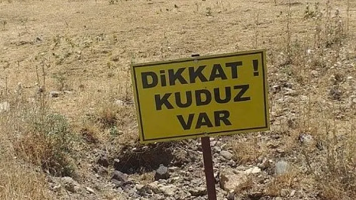 Köpek kuduz çıktı, köy karantinaya alındı