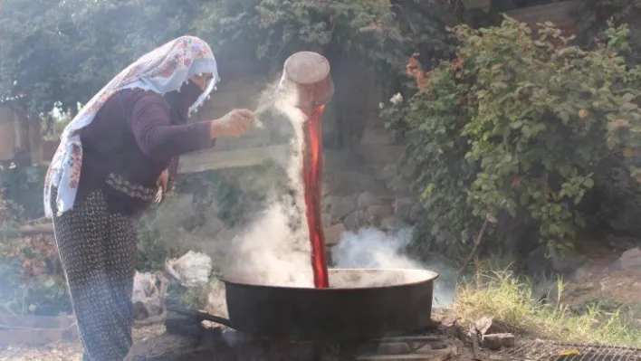 Köylerde şifa kaynağı 'Pekmez' mesaisi