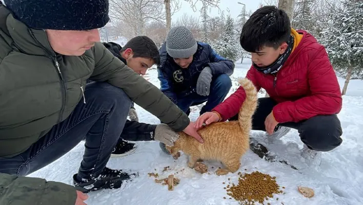 Kuran kursu öğrencileri can dostları unutmadı