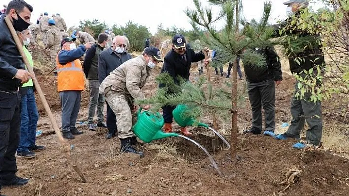 Mehmetçik, bin adet  fidan dikti