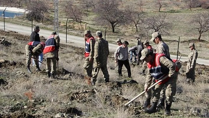 Mehmetçik Fidan Dikti