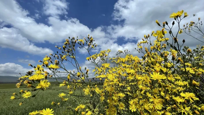 Meteoroloji güncel hava durumunu açıkladı