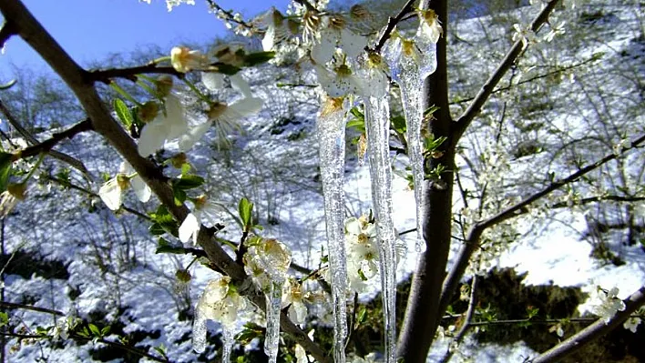 Meteorolojiden zirai don uyarısı