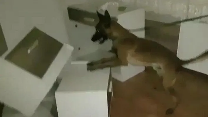 Narkotikten flaş operasyonlar...