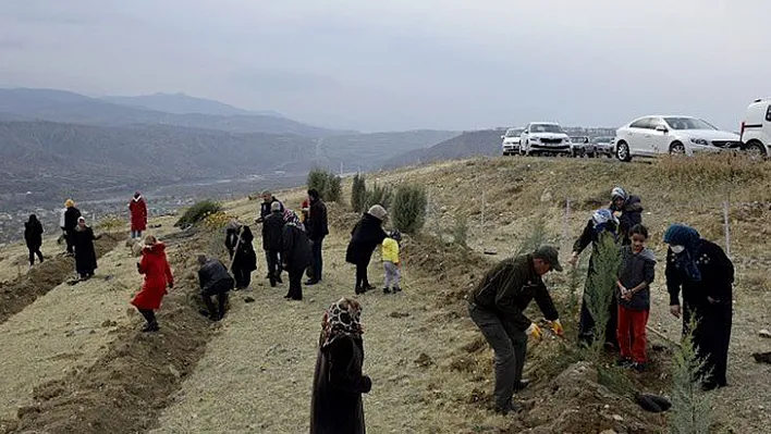 Palu'da 12 bin fidan toprakla buluştu