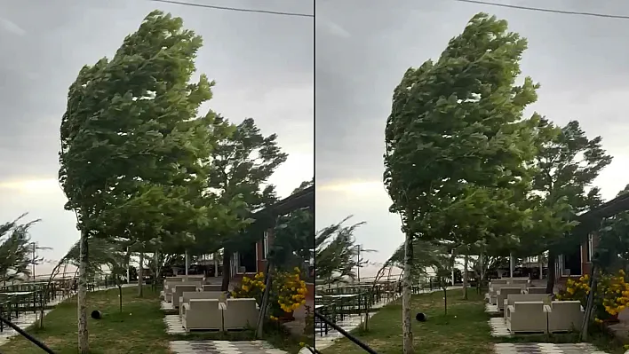 Palu'da fırtına etkili oldu