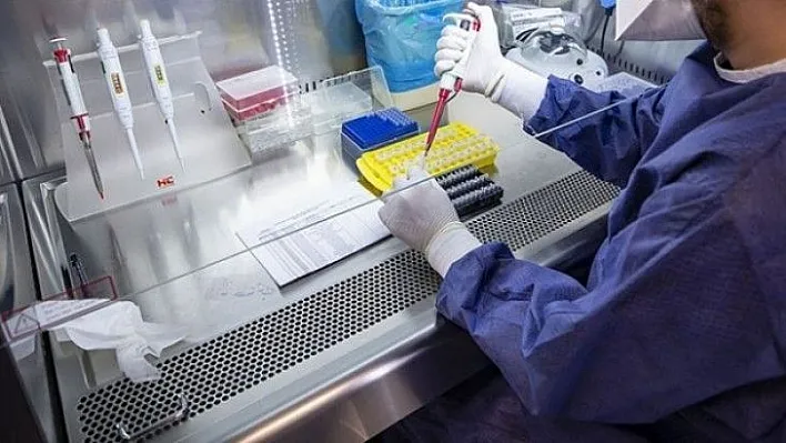 PCR testlerinde yeni dönem