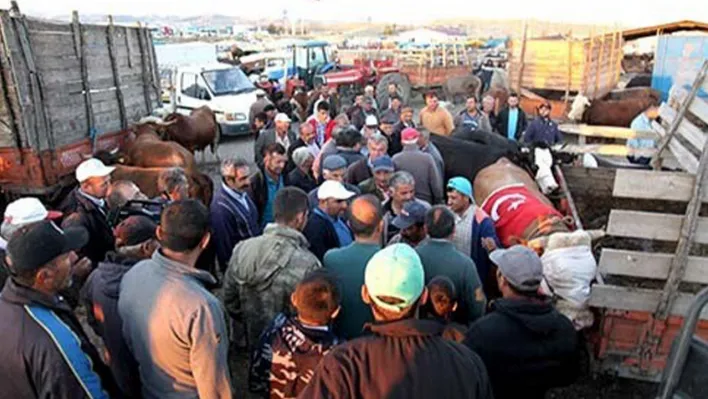 Şap alarmı! 15 köy karantinada