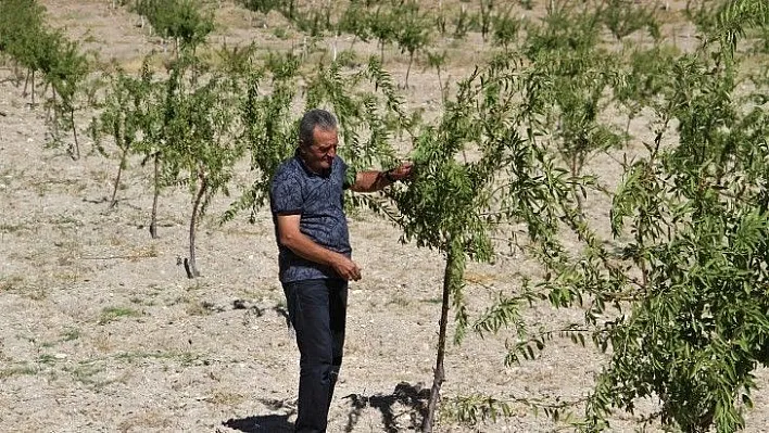 Şehit oğlunun anısına, 2 bin 500 fidanla orman oluşturdu