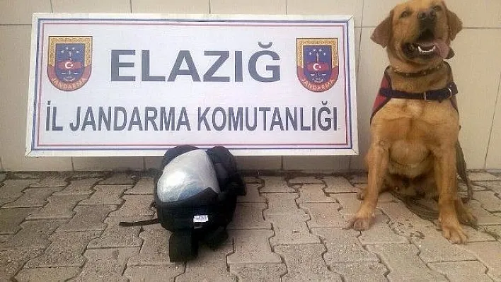 Sırt çantasında toz esrar ele geçirildi